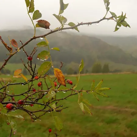 بيت للعطل Walnut Tree Refuge Kryštofovo Údolí